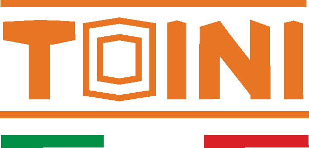 Toini Srl Logo